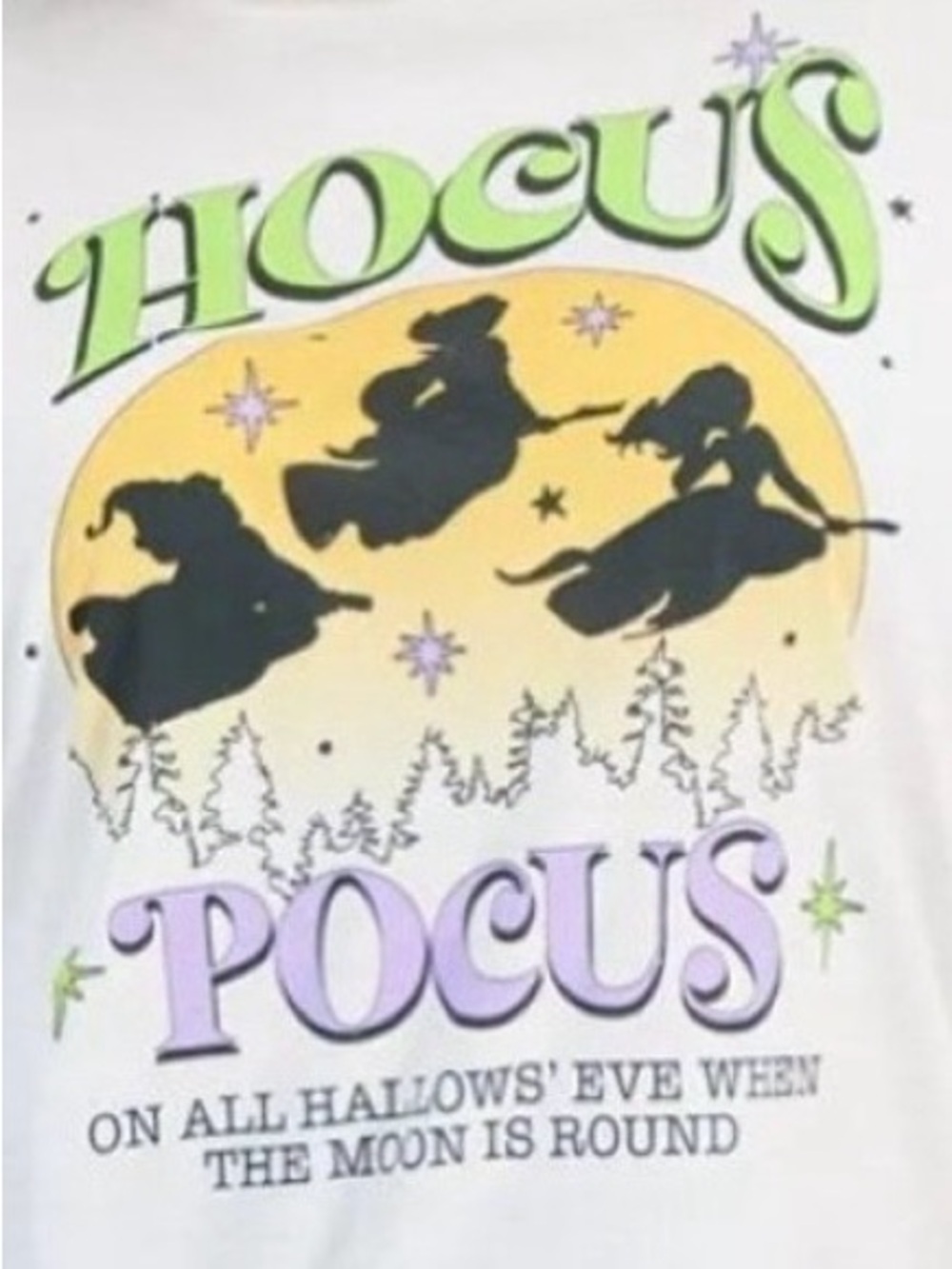 DISNEY Hocus Pocus Sanderson Sisters Tee – Plus Size 2X – NWT - Picture 4 of 9